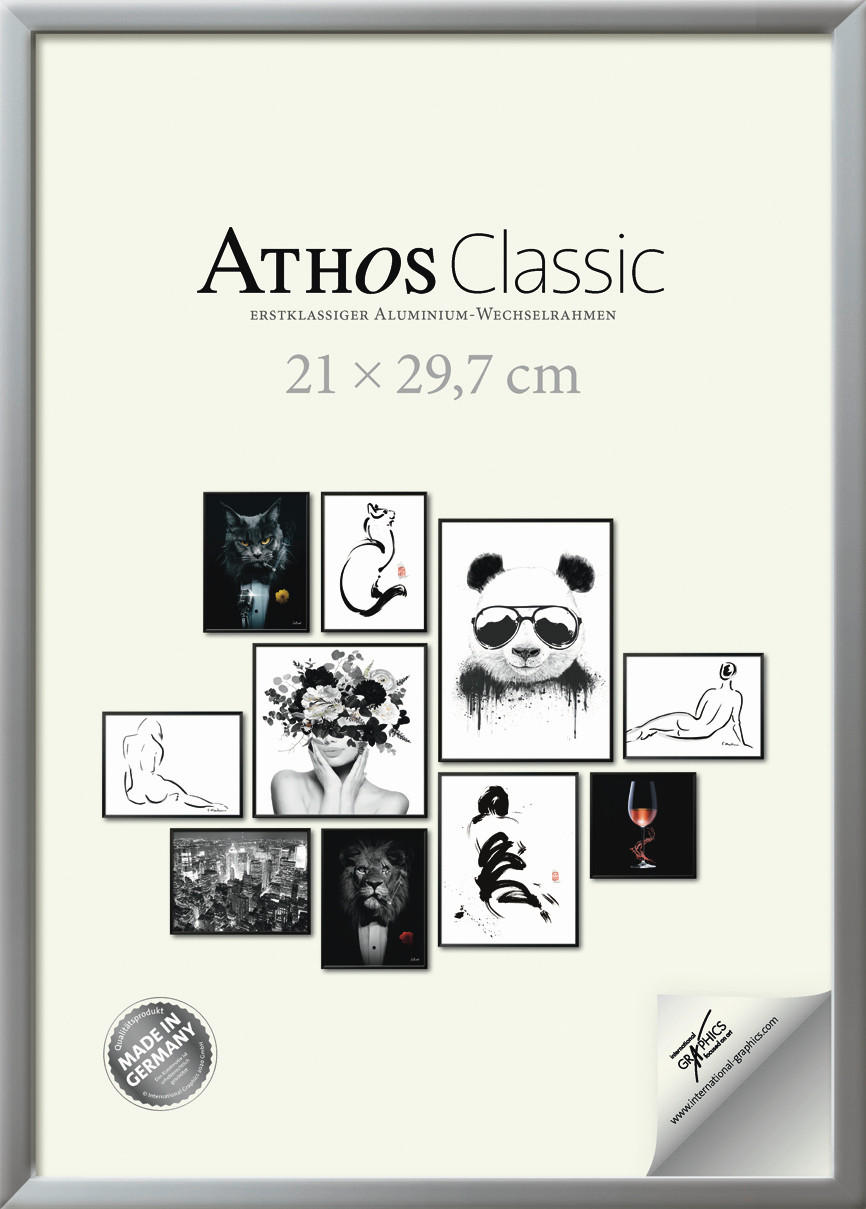 BILDERRAHMEN - Silberfarben, Basics, Papier/Holzwerkstoff (21/30/1,8cm)