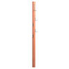 GARDEROBENLEISTE  in Kernbuche massiv Buchefarben  - Buchefarben, Basics, Holz (8/183/4cm)