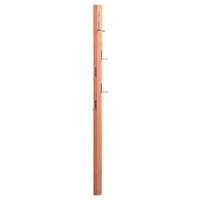 GARDEROBENLEISTE  in Kernbuche massiv Buchefarben  - Buchefarben, Basics, Holz (8/183/4cm)
