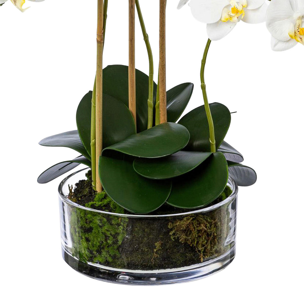 KUNSTPFLANZE Orchidee 50 cm  - Transparent/Weiß, Design, Glas/Kunststoff (50cm)