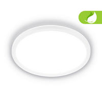 LED PLAFONJERA - bela, Osnovno, plastika (29/3cm)