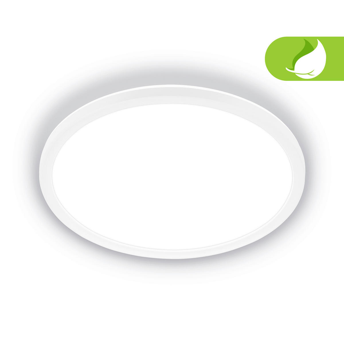 LED PLAFONJERA - bela, Osnovno, plastika (29/3cm)