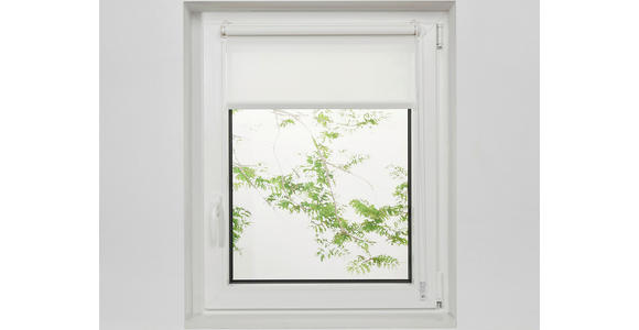 ROLLO 100/160 cm  - Weiß, Design, Kunststoff (100/160cm) - Boxxx