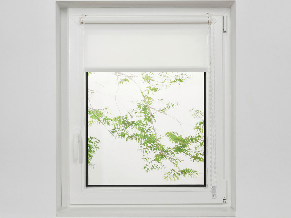 ROLETA, polopriehľadné, 75/160 cm - biela, Design, textil/plast (75/160cm) - Boxxx