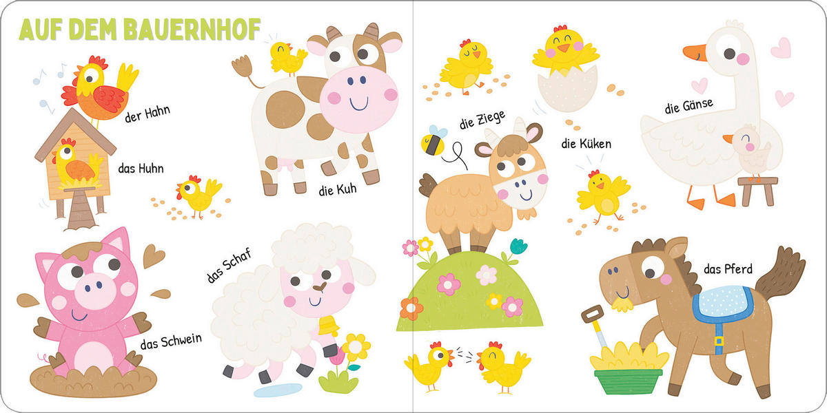 BUCH Ich kenne die Tiere  - Multicolor, Basics, Papier (16/16/1cm)