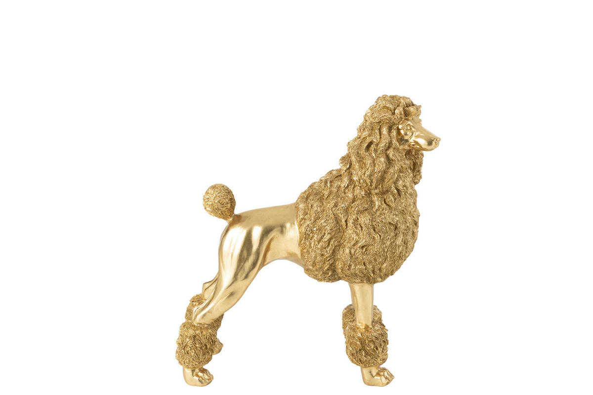 DEKOHUND - Goldfarben, Basics, Kunststoff (58/26/66cm) - Ambia Home