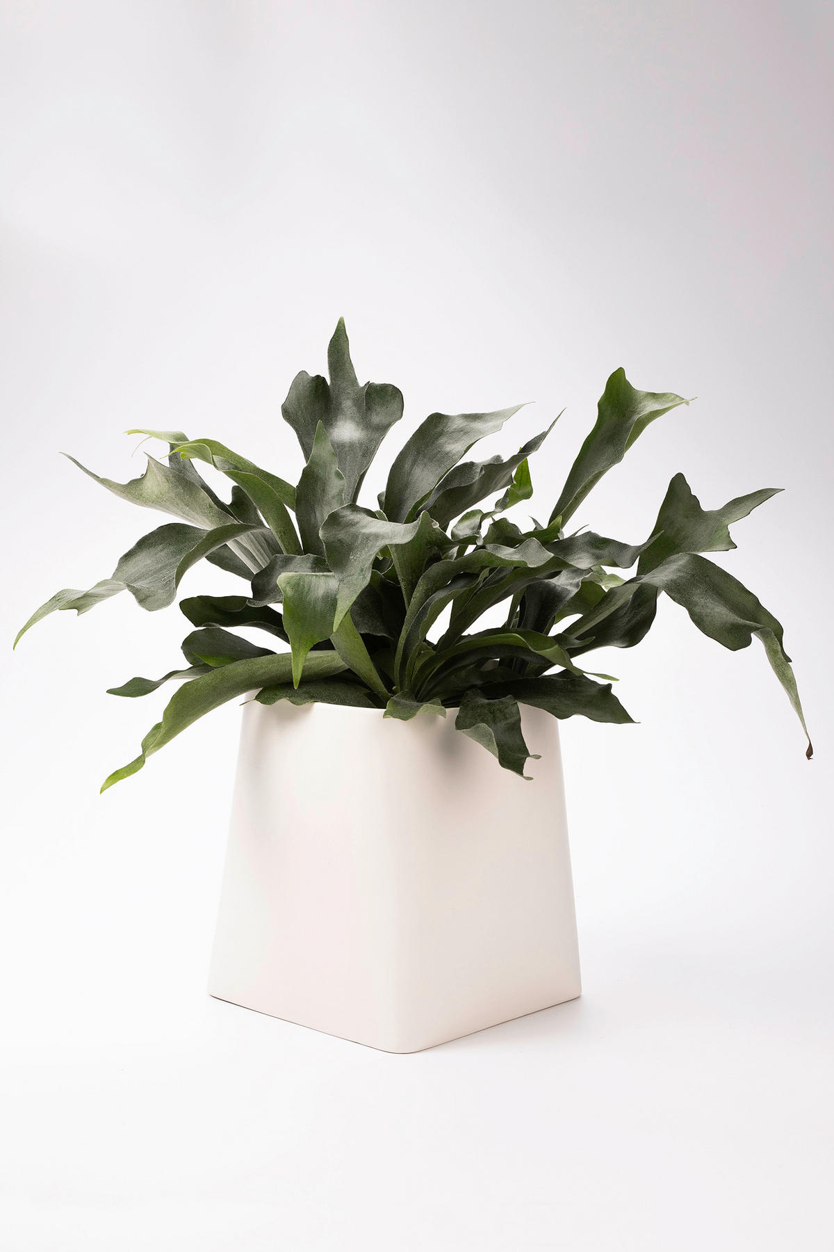 ÜBERTOPF   - Weiß, Basics, Keramik (29/27/31cm) - Markslöjd