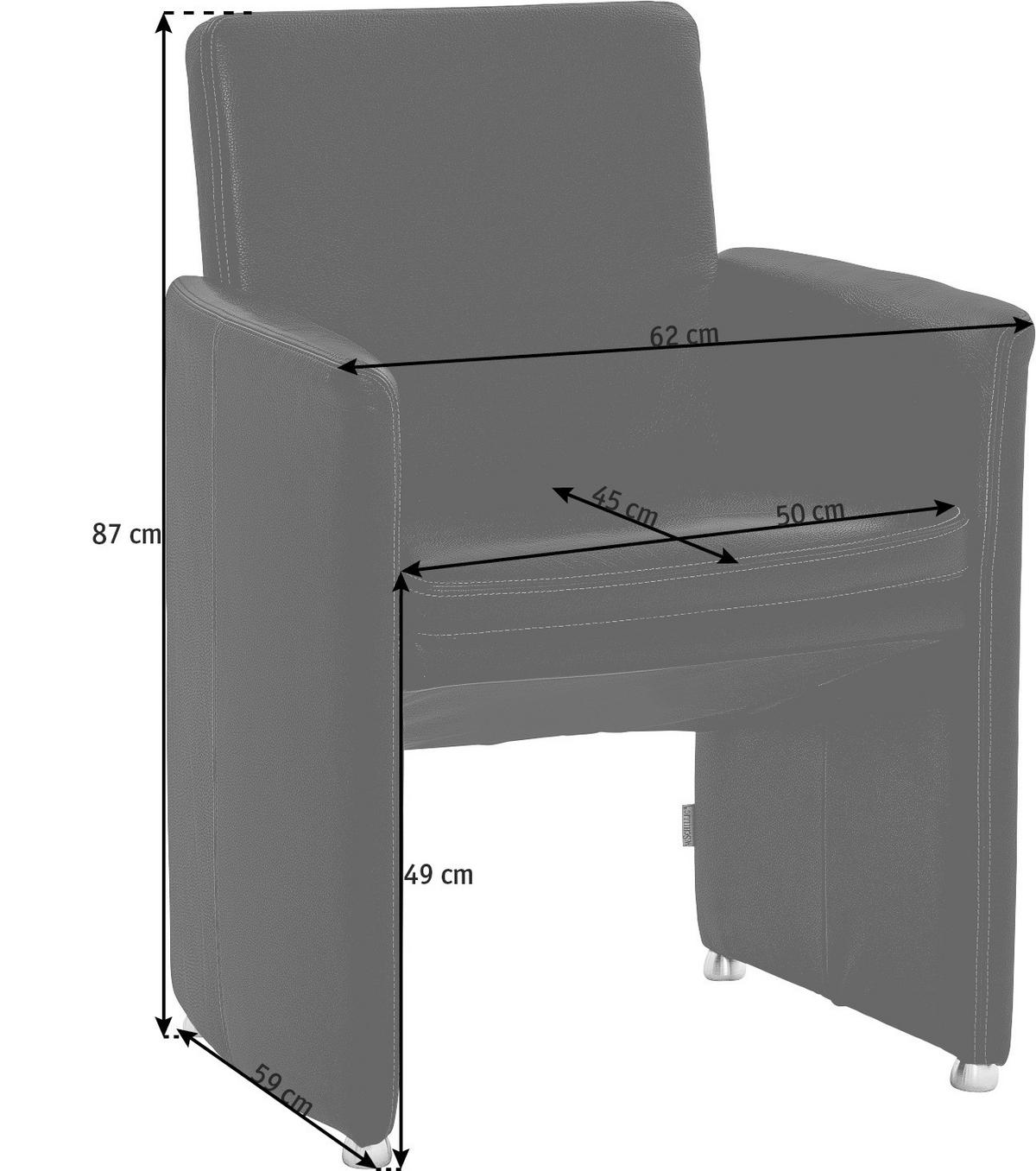 STUHL Echtleder  - Silberfarben/Schwarz, Design, Leder/Kunststoff (62/87/59cm) - W.Schillig