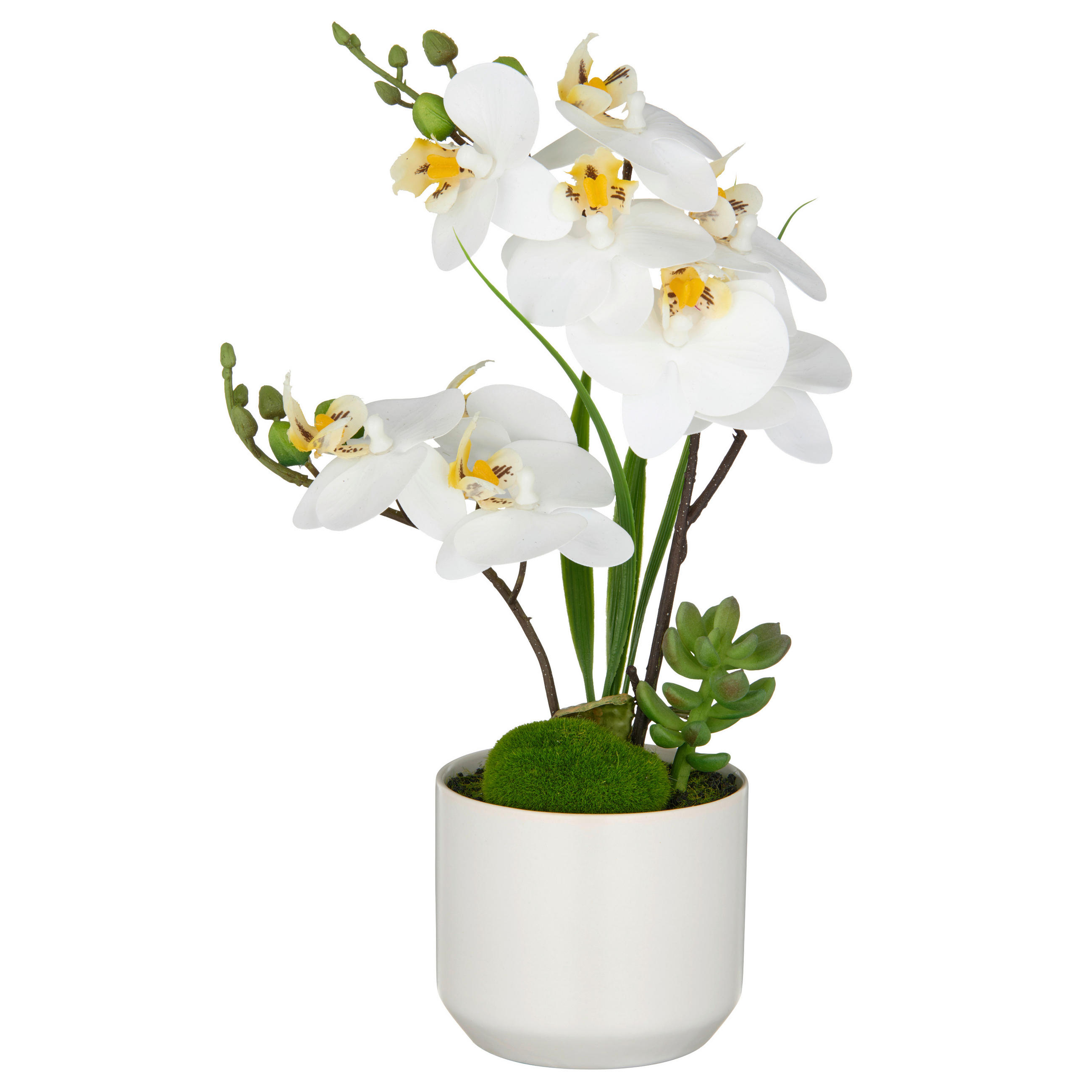 KUNSTPFLANZE Orchidee 38 cm  - Weiß/Braun, Basics, Keramik/Kunststoff (38cm)