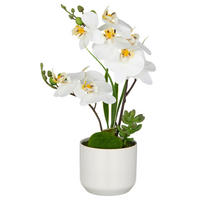 KUNSTPFLANZE Orchidee 38 cm  - Weiß/Braun, Basics, Keramik/Kunststoff (38cm)