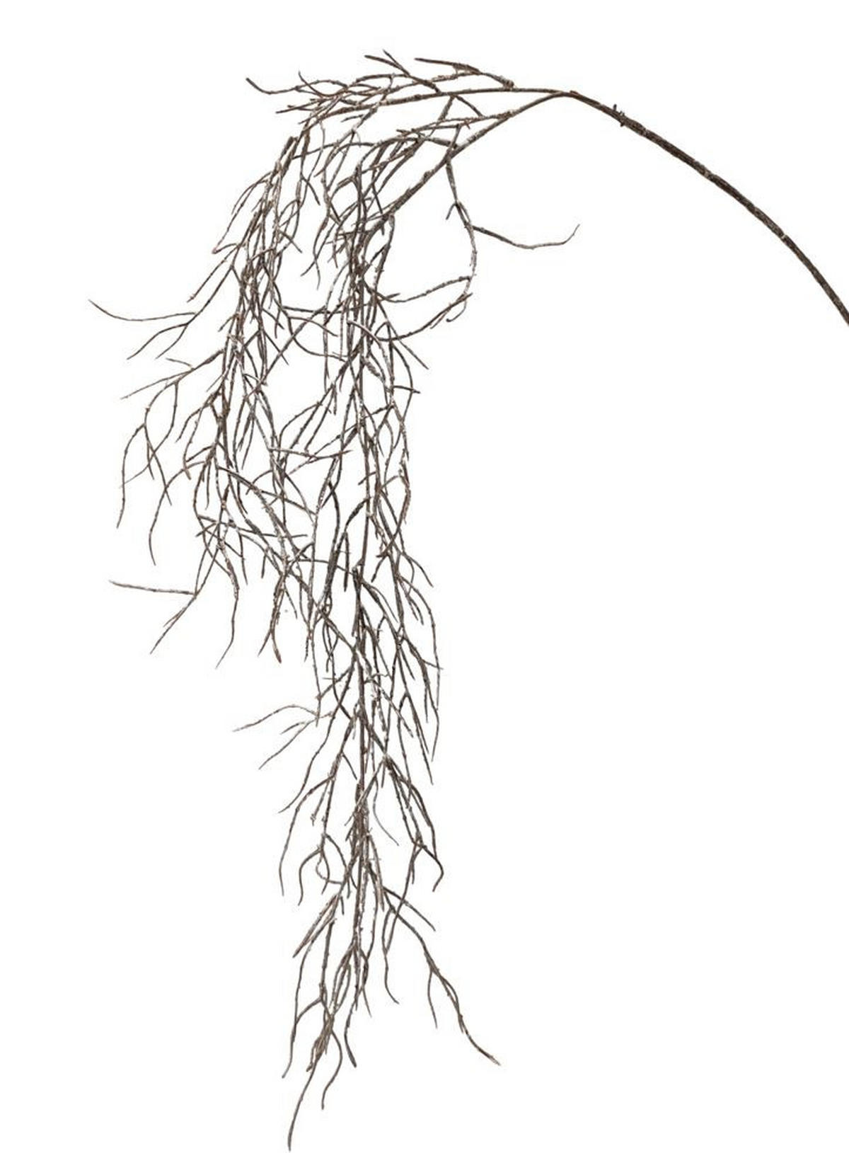 KUNSTBLUME  - Champagner, Basics (104cm) - X-Mas