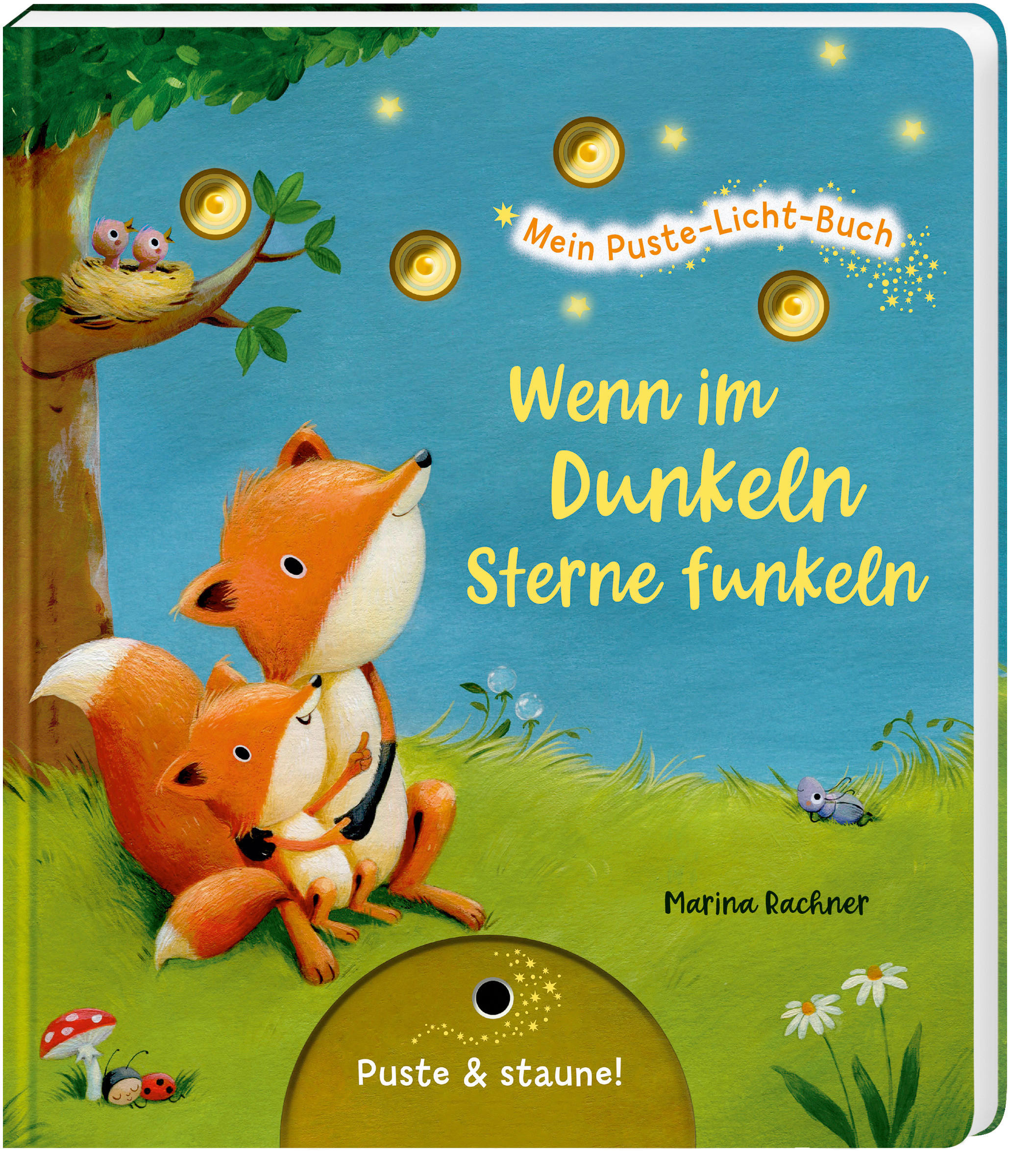 BILDERBUCH - Basics (19,2/1,6/22,0cm)