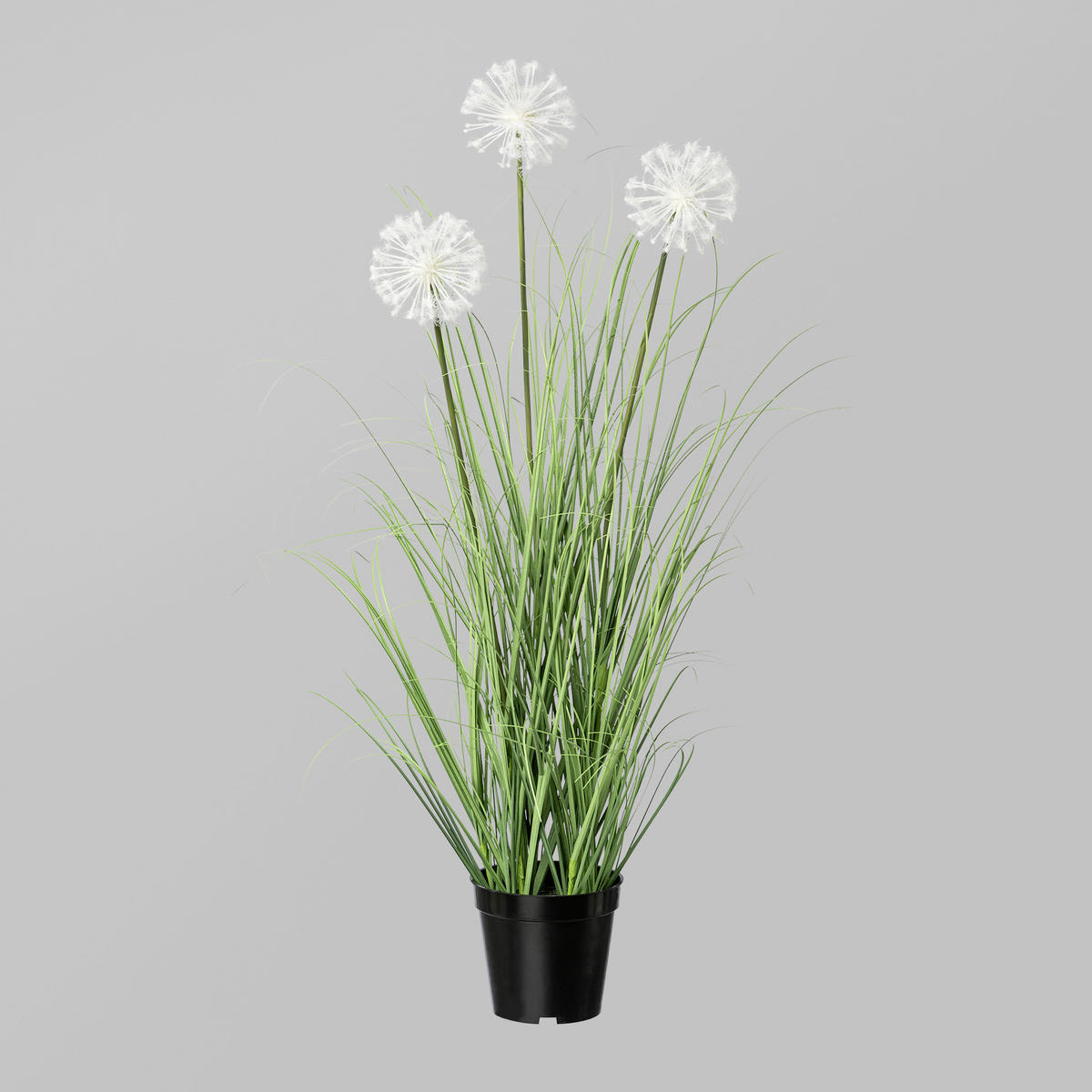 KUNSTPFLANZE 78 cm  - Schwarz/Weiß, MODERN, Kunststoff (78cm) - P & B