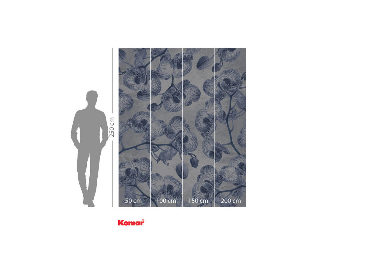 VLIESTAPETE  - Blau/Weiß, Basics (200/250cm) - Xora