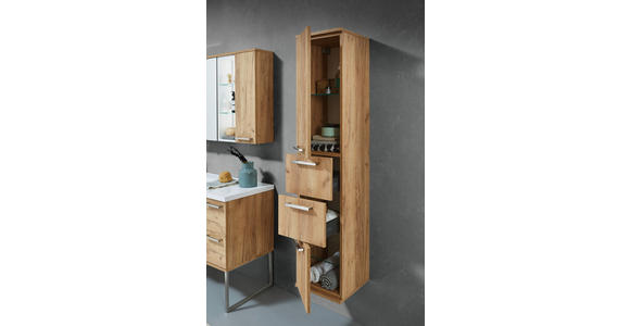 HOCHSCHRANK 35/165/37 cm  - Edelstahlfarben/Alteiche, Design, Glas/Holz (35/165/37cm) - Dieter Knoll