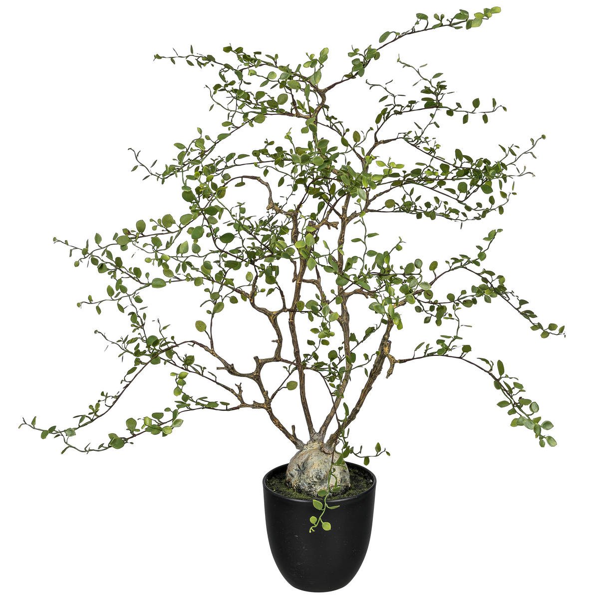 DEKORAČNÍ ROSTLINA 91 cm - zelená, Basics, plast (91cm)