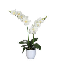 UMĚLÁ KVĚTINA  - bílá, Basics, textil (0/0/66cm)