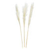 TROCKENBLUME  - Weiß, Basics, Naturmaterialien (115cm)
