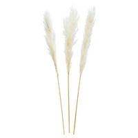 TROCKENBLUME  - Weiß, Basics, Naturmaterialien (115cm)