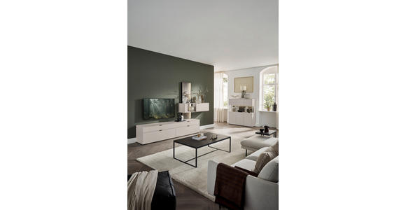 WOHNWAND  in Hellgrau  306/204,9/45,2 cm  - Hellgrau, Design, Glas/Keramik (306/204,9/45,2cm) - Dieter Knoll