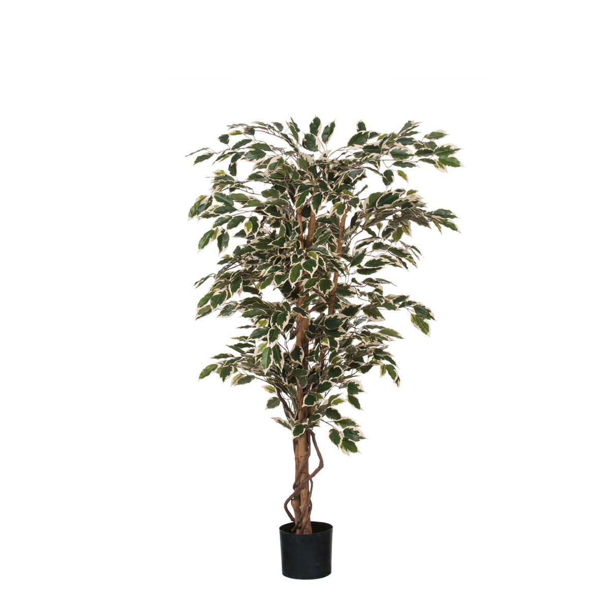 UMETNA RASTLINA - zelena, Basics, umetna masa (75/150cm)