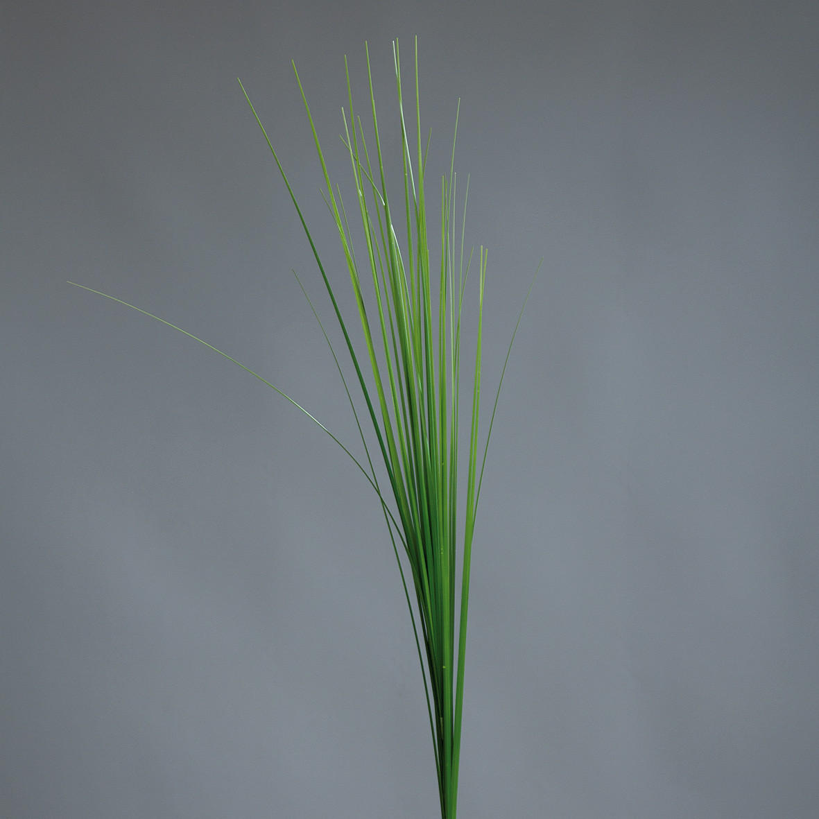 VEŠTAČKA BILJKA - zelena, Konvencionalno, tekstil/plastika (70cm)