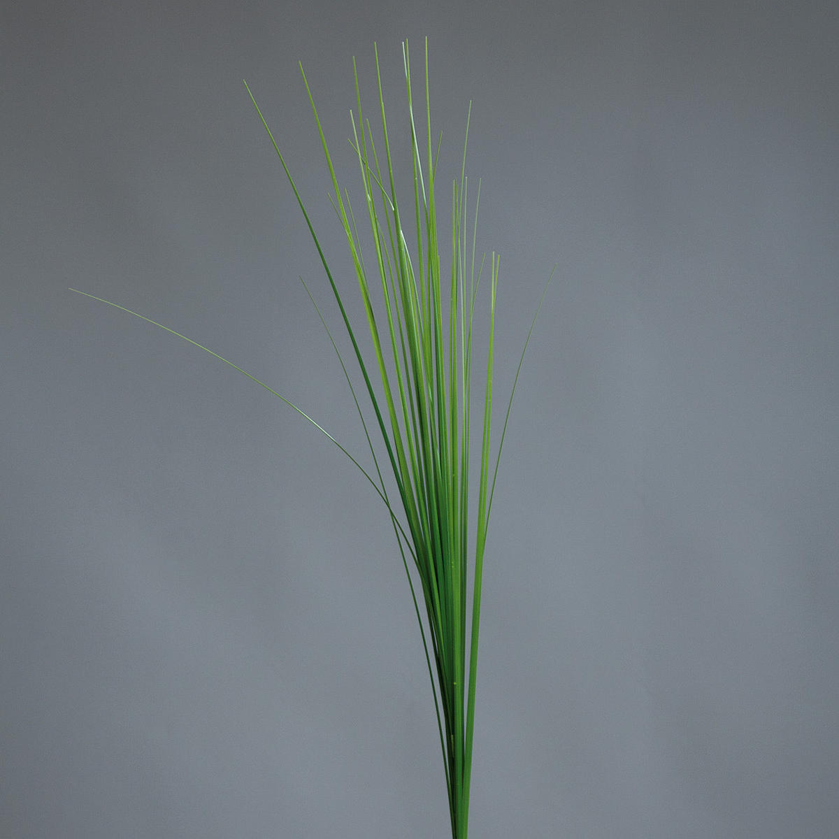 VEŠTAČKA BILJKA - zelena, Konvencionalno, tekstil/plastika (70cm)