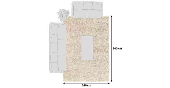 HOCHFLORTEPPICH 240/340 cm Fashion Shaggy Beige - Beige, Basics, Textil (240/340cm) - Novel