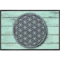 FUßMATTE  40/60 cm  Grau, Hellgrün  - Hellgrün/Grau, KONVENTIONELL, Kunststoff/Textil (40/60cm) - wash+dry