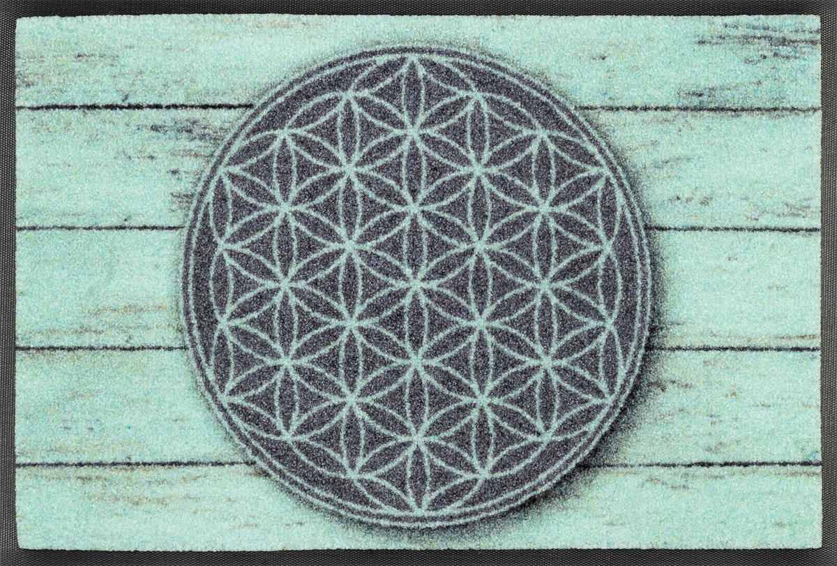 FUßMATTE  40/60 cm  Grau, Hellgrün  - Hellgrün/Grau, KONVENTIONELL, Kunststoff/Textil (40/60cm) - wash+dry