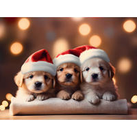 SZENNYFOGÓ SZŐNYEG - Basics, műanyag (80/60cm) - X-Mas