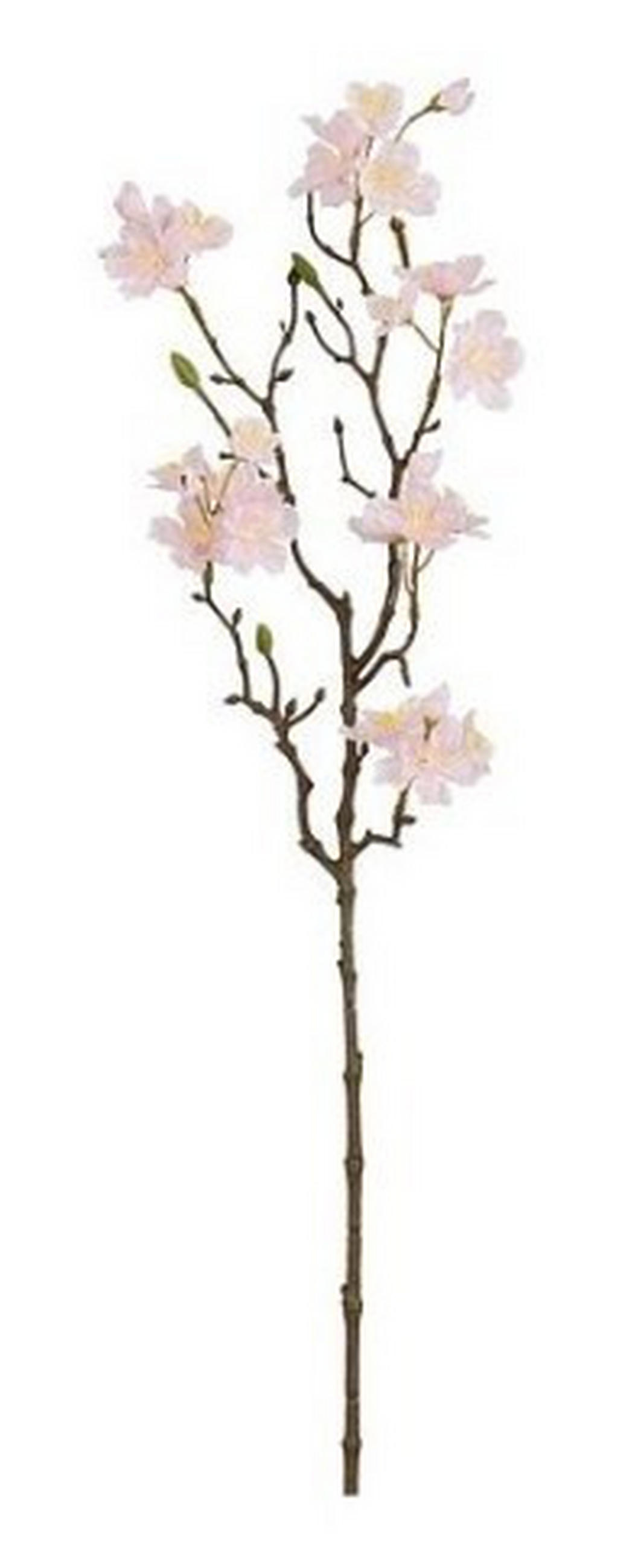 DEKORKVIST - ljusrosa/brun, Basics, plast (69cm)