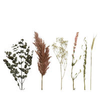 DIY-SET  - Hellrosa/Grün, LIFESTYLE, Naturmaterialien (20,00/20,00/60,00cm)