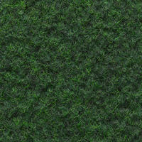 TEPPICHBODEN per  m² - KONVENTIONELL, Kunststoff (200cm) - Ambia Garden