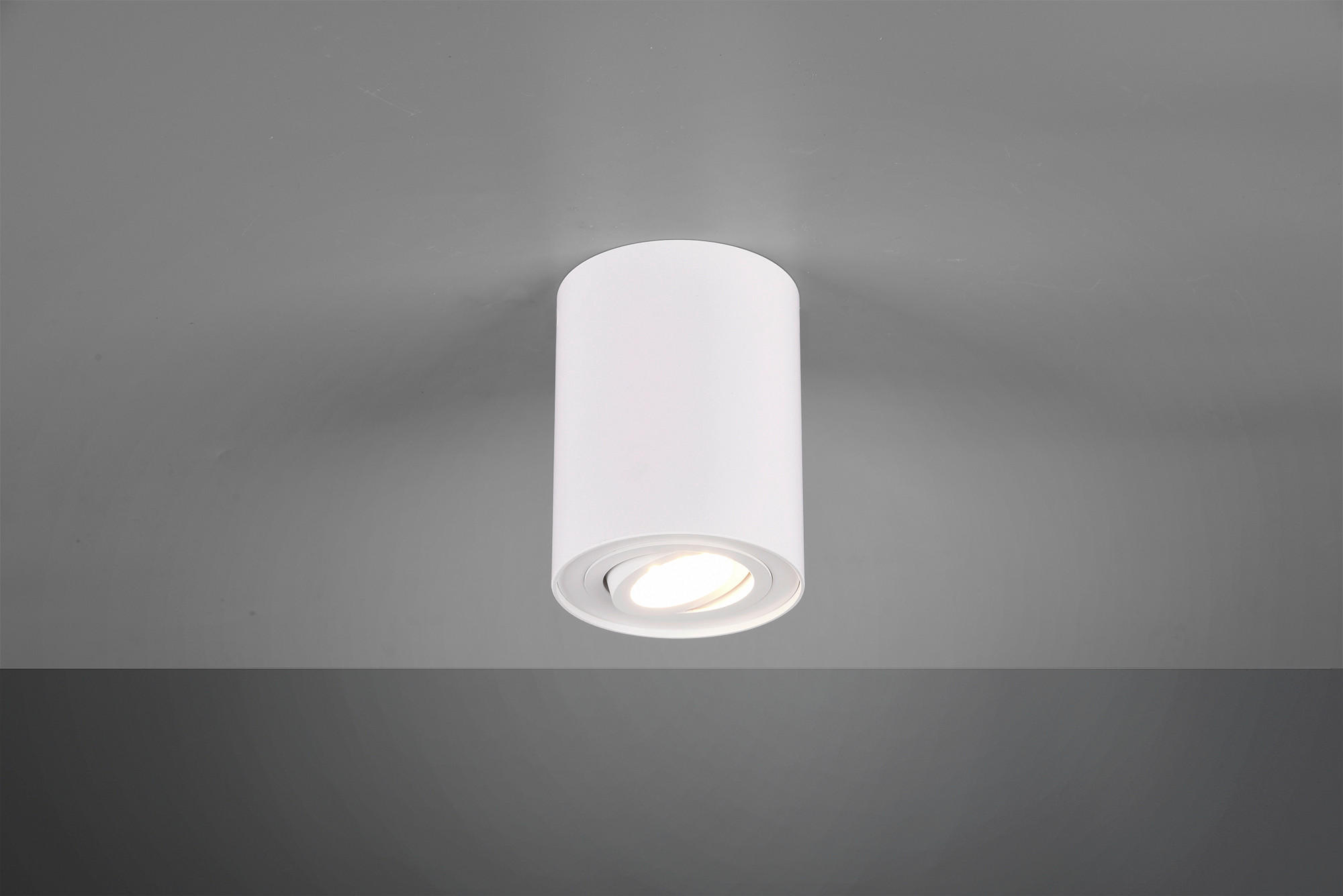DECKENLEUCHTE  9,6/12,5 cm    - Basics (9,6/12,5cm) - Trio Leuchten