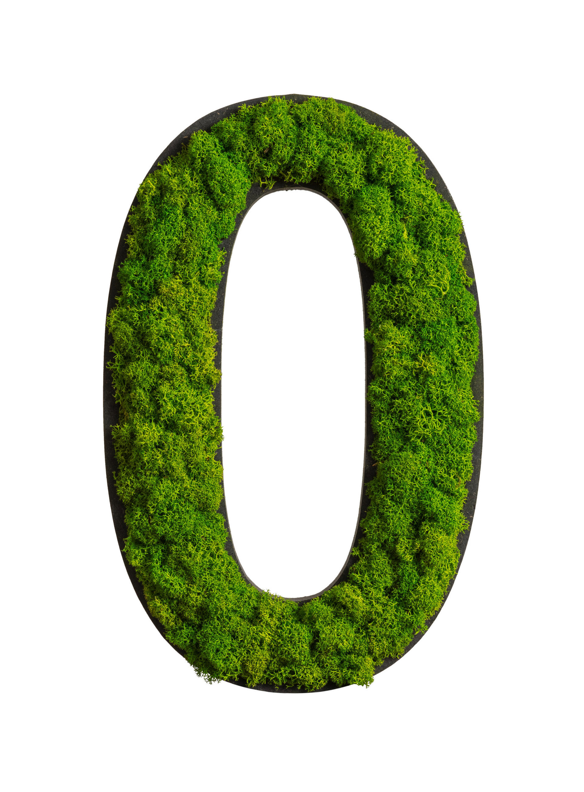 StyleGREEN MECHOVÝ OBRAZ