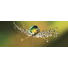 GLASBILD - Multicolor, KONVENTIONELL, Glas (30/80/2cm) - EUROGRAPHICS