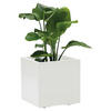 BLUMENKASTEN  - Weiß, Basics, Kunststoff (39,5/39,5/39,5cm)