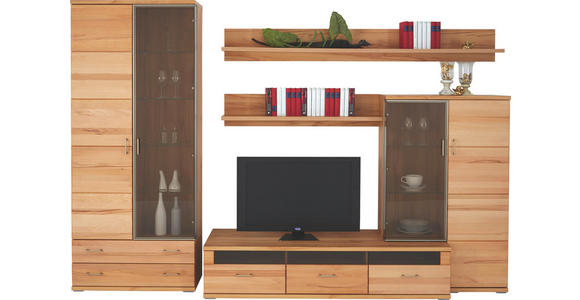 WOHNWAND in Buchefarben - Silberfarben/Buchefarben, KONVENTIONELL, Glas/Holz (319/212,3/55cm) - Cantus