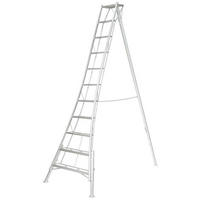 LEITER - Silberfarben, Basics, Metall (248/330/128cm) - Ambia Garden