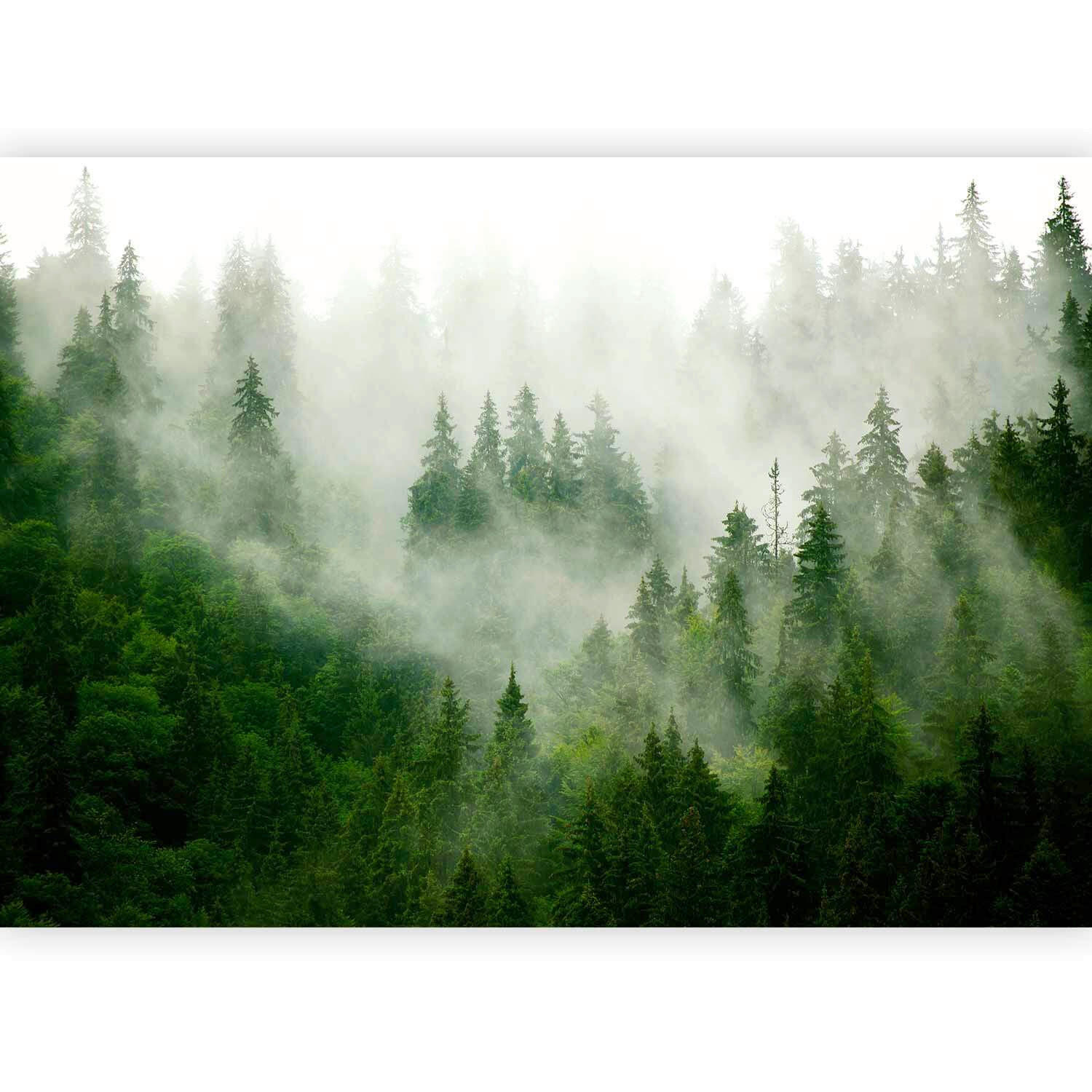 FOTOTAPET 300/210 cm  - grön/grå, Lifestyle, textil (300/210cm) - artgeist