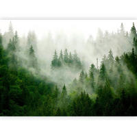 FOTOTAPET 300/210 cm  - grön/grå, Lifestyle, textil (300/210cm) - artgeist