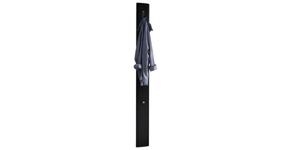 GARDEROBENPANEEL 15/165/5 cm - Anthrazit/Alufarben, Design, Holzwerkstoff/Metall (15/165/5cm) - Dieter Knoll