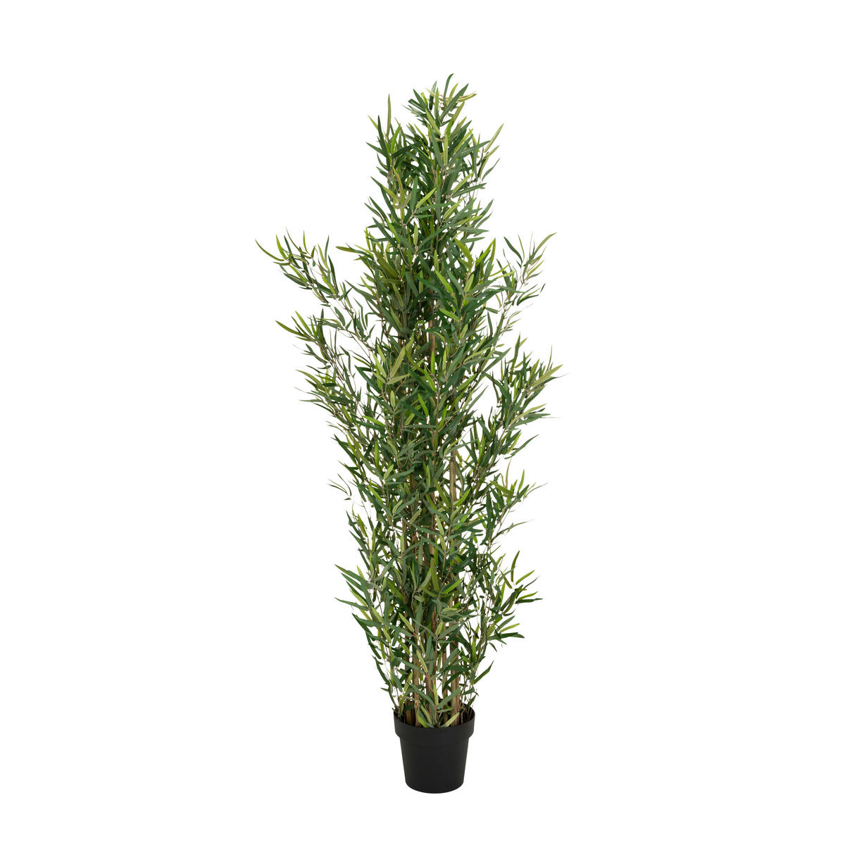 BAMBUS Bambus  - Schwarz/Grün, Basics, Kunststoff/Textil (70/165/70cm) - MID.YOU