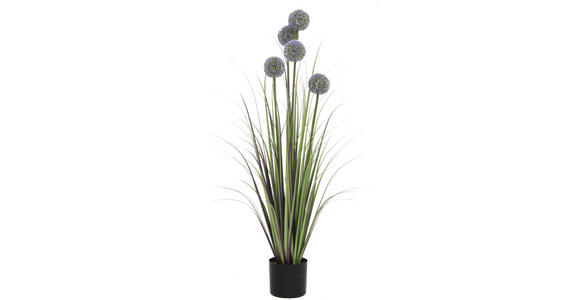 DEKOGRAS - Lila/Hellgrün, Basics, Kunststoff/Metall (110cm) - Ambia Home