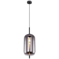 HÄNGELEUCHTE 22/120 cm  - Schwarz, Design, Glas/Metall (22/120cm) - Globo