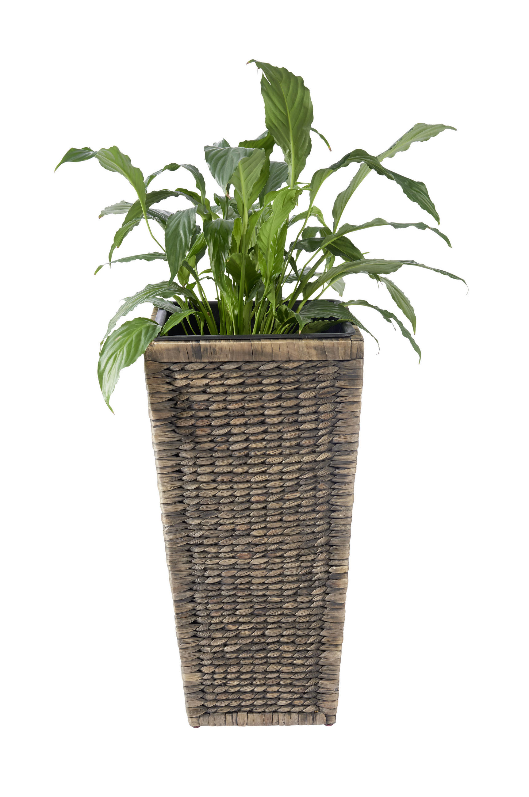VIRÁGCSERÉP  - sötétbarna, Lifestyle, műanyag/természetes anyagok (32/32/62cm) - Landscape