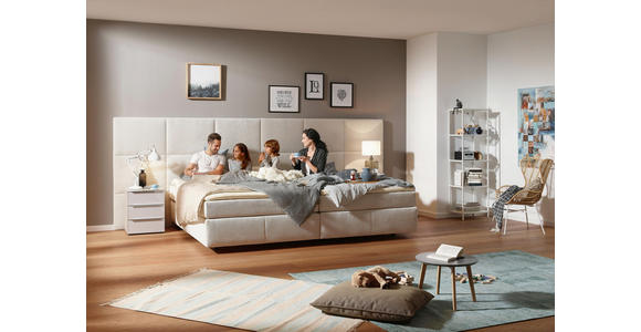 BOXSPRINGBETT 240/220 cm in Beige - Beige/Schwarz, KONVENTIONELL, Textil (240/220cm) - Dieter Knoll