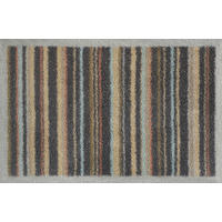 FUßMATTE  40/60 cm  Multicolor  - Multicolor, Design, Kunststoff/Textil (40/60cm) - wash+dry