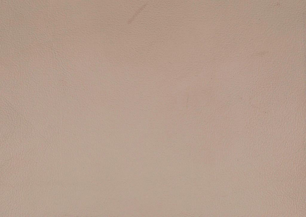 ECKSOFA in Echtleder Beige  305/163 cm  - Eichefarben/Beige, Design, Leder/Holz (305/163cm) - Novel